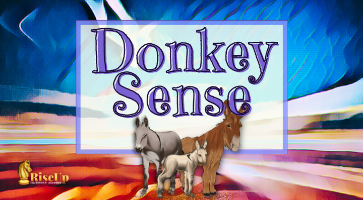 Introducing the Donkey Sense Flip Book!