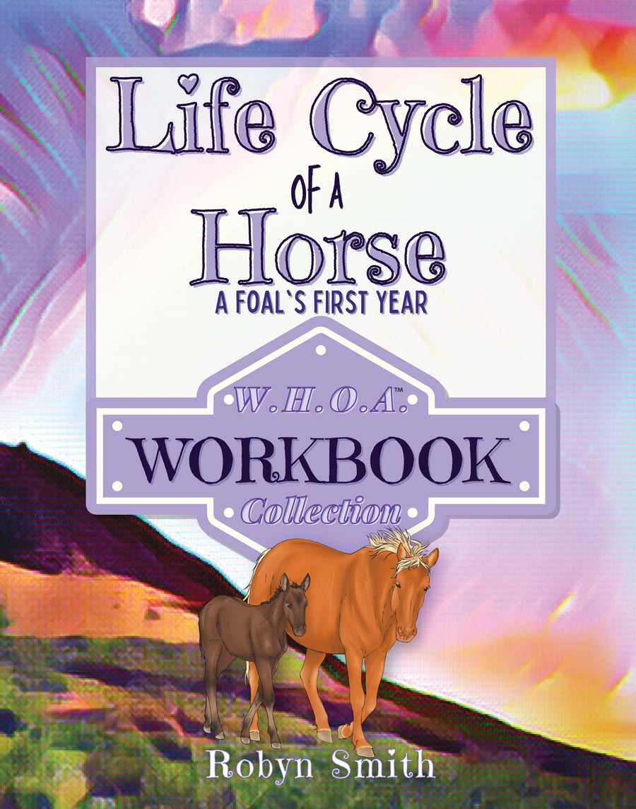 Life Cycle of a Horse